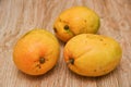 Indian Alphonso mango orange yellow color Royalty Free Stock Photo