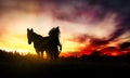 Indian of America on horseback at sunset Royalty Free Stock Photo