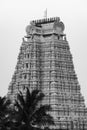 Beauty in Black Temple Tower on Srirangam Temple