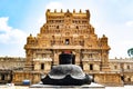 Beauty of indian Temple Entrance Tower2 - Thanjavur