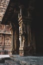 Pillars Beauty - Thanjavur Big Temple