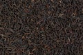 Indian Assam tea. Can be used as background. Royalty Free Stock Photo