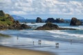 Indian beach in Ecola state park,