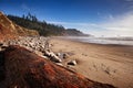 Indian Beach in Oregon Royalty Free Stock Photo