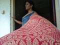 Indian Saree