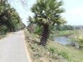 Indian Village Beautiful Small Rivers and Road natural morning Scene