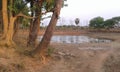 Indian bengali village doba in rural area mednipore