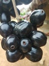 Indian blackberry fruit in this image