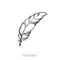 Indian Boho feather hand drawn Royalty Free Stock Photo