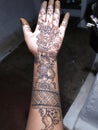 Indian bountiful dulhan mehndi