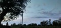 Indian Boy Sitting Under Tree Watching Sky In The Farm