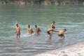 Indian boys swimming in the sacred water of the river Ganges in the city of Rishikesh, India