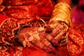 Indian bridal hand Royalty Free Stock Photo