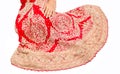 Indian Bridal lehnga Royalty Free Stock Photo