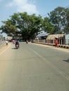 Indian building town area student on road side trees ,village scene trees and street scene