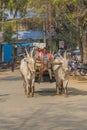 Indian bullock cart or ox cart run by man in village. Royalty Free Stock Photo