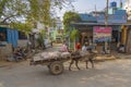 Indian bullock cart or ox cart run by man in village. Royalty Free Stock Photo