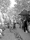 Indian Bullock Cart Unloads at the Market Royalty Free Stock Photo