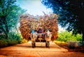 indian bullock cart village classic oldtimes