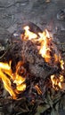 Indian Burning Wood