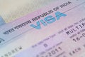 Indian Business Visa Macro Royalty Free Stock Photo