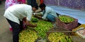 indian buyer picking up fresh lemon from the street village store