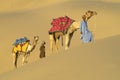 Indian Camel Caravan 4 Royalty Free Stock Photo