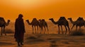 indian (camel driver) bedouin with camel silhouettes in sand dunes of Thar desert on sunset Royalty Free Stock Photo