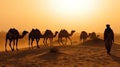 indian (camel driver) bedouin with camel silhouettes in sand dunes of Thar desert on sunset