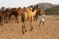 Indian Camel Herder Royalty Free Stock Photo