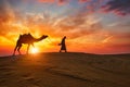 Indian cameleer camel driver with camel silhouettes in dunes on sunset. Jaisalmer, Rajasthan, India Royalty Free Stock Photo