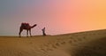 Indian cameleer (camel driver) fighting with stubborn camel in sand dunes of Thar desert on sunset. Rajasthan