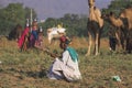 Camel vendors from the city of Pushkar,Pushkar Mela