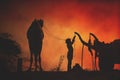 Camel vendors from the city of Pushkar,Pushkar Mela