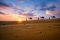 Indian cameleers camel driver with camel silhouettes in dunes on sunset. Jaisalmer, Rajasthan, India Royalty Free Stock Photo