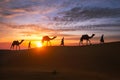Indian cameleers camel driver with camel silhouettes in dunes on sunset. Jaisalmer, Rajasthan, India Royalty Free Stock Photo