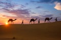 Indian cameleers camel driver with camel silhouettes in dunes on sunset. Jaisalmer, Rajasthan, India Royalty Free Stock Photo