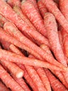 Indian carrots background, India