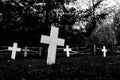 Indian cemetery abstract showing tilted white crosses and a dark spooky tree