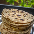 Indian chapati flatbread