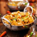 Indian chicken curry in balti dish Royalty Free Stock Photo