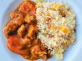 Indian chicken curry with fried rice. Lamb vindaloo with Navratan Pulao or one pot meal. Royalty Free Stock Photo