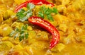 Indian chicken curry with parsley in a bowl Royalty Free Stock Photo