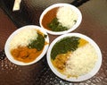 Indian Chicken Curry Rice Vegetables Meal Spinach Cheese Dippings Curry Palak Paneer Sauce Dressings Vegetarians Morning Breakfast Royalty Free Stock Photo