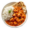 Indian chicken tikka masala with tender pieces of chicken in a creamy tomato-based sauce, served with rice or naan bread Royalty Free Stock Photo