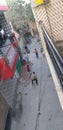 indian children plays in a gully in free time