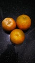 Indian citron Indian citrus fruit Royalty Free Stock Photo