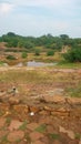 Indian city of temple monkey water