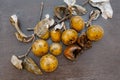 Indian cluster fig on a wooden surface.