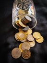 INDIAN COINS IN BLACK BACKGROUND